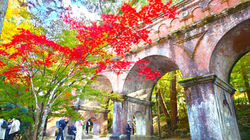 BROMPTON  Slow Cycling Tours