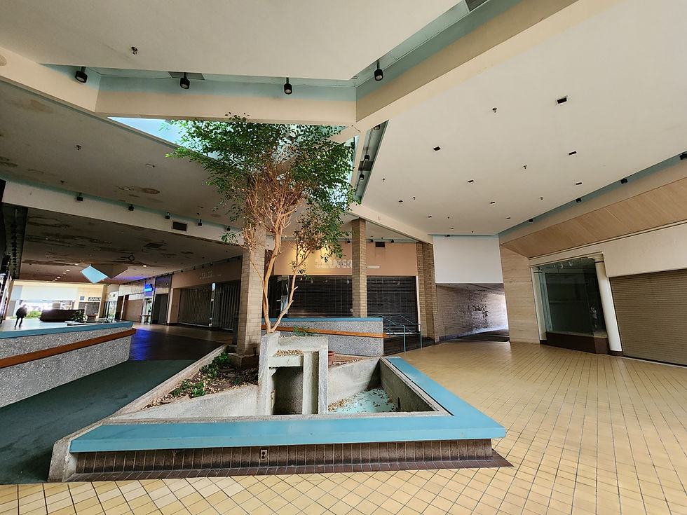 JCPenney fountain. Pictured behind the fountain and tree is an old Lerner Shops complete with label scar. 