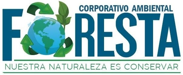 Foresta International School logo