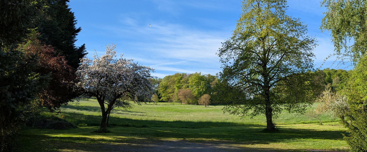 Landschaft im Odenwald