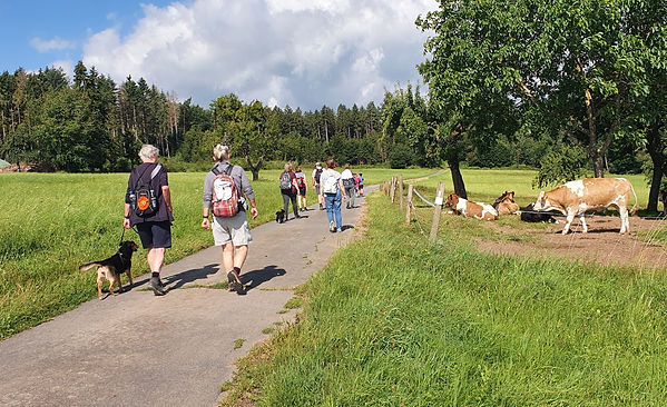 Wandergruppe Grasellenbach