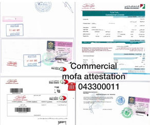 How to Complete a Commercial Document Attestation Process UAE