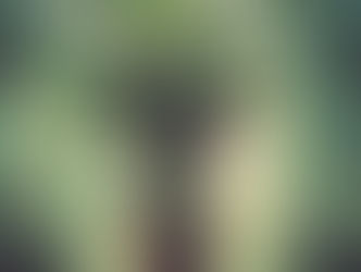 The Biophyllic Disaster - Landscape Design