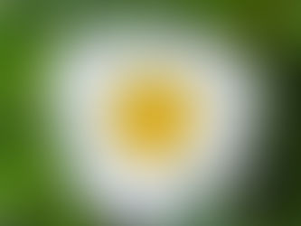 The Imperative of Looking Within: Why Self-Inquiry Is Essential for Growth, Freedom, and Healthy Relationship