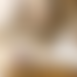 CUERPOS EXTRAÑOS EN GATOS