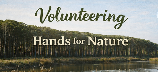 Hands for nature.png