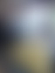 Online Event E+ Virtual Space International