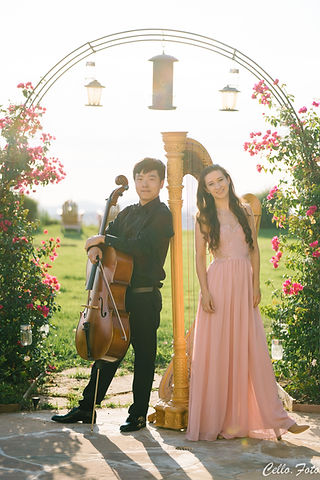 harp+cello2_.jpeg