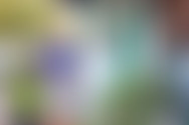 New owners of Crossings on Main to carry on long-time traditions