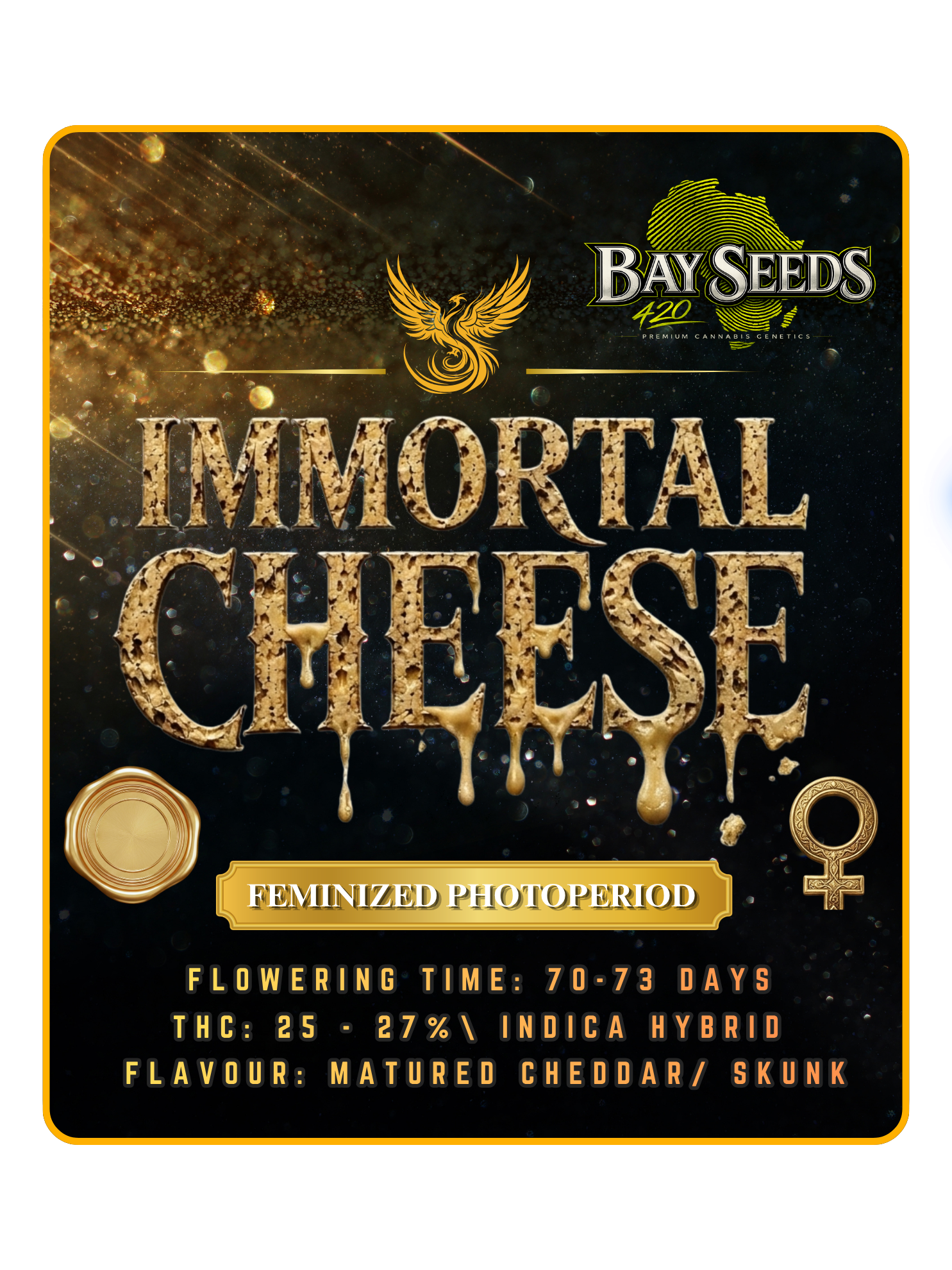 IMMORTAL CHEESE Photo Fem 3 SEED PACK