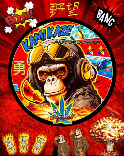 BANDAI - weed bazooka_punch-web_1.jpg