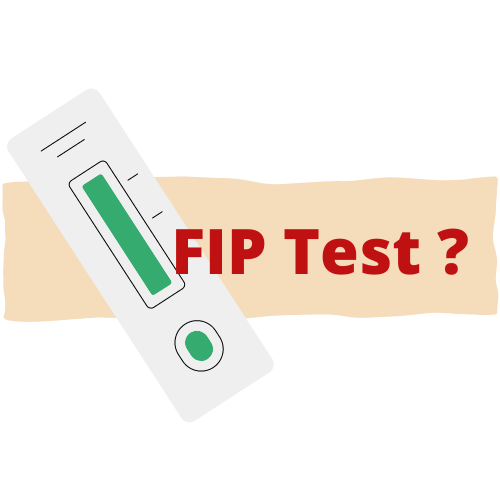 "FIP in Cats: Can You Test for It? The Answer May Surprise You!"