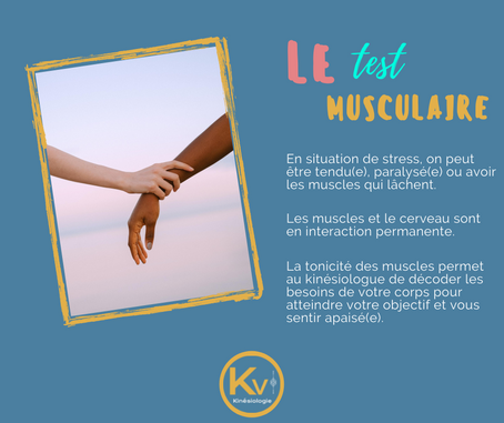 La kinésiologie comment ça fonctionne ?