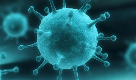 Wordless Wednesday: Which one is a Coronavirus?