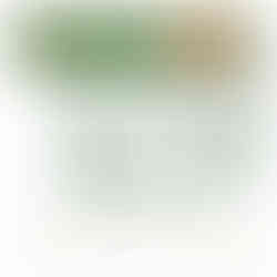 Wellness Estate Dubai From Vincitore