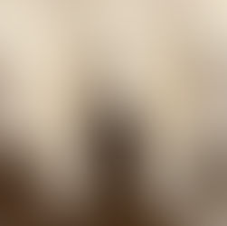 مشروع وعد دبي الجنوب