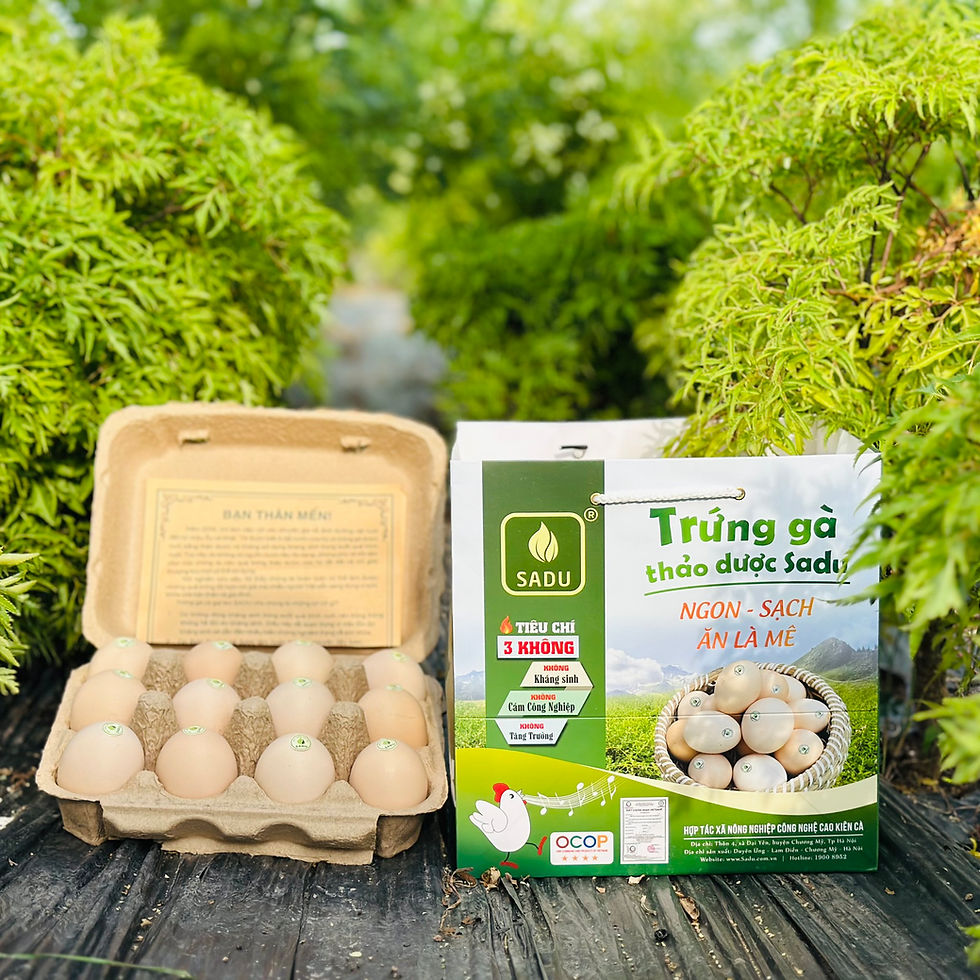Trứng gà thảo dược Sadu trong hộp giấy mở, đặt giữa vườn cây xanh, bao bì ghi “NGON - SẠCH - ĂN LÀ MÊ”.