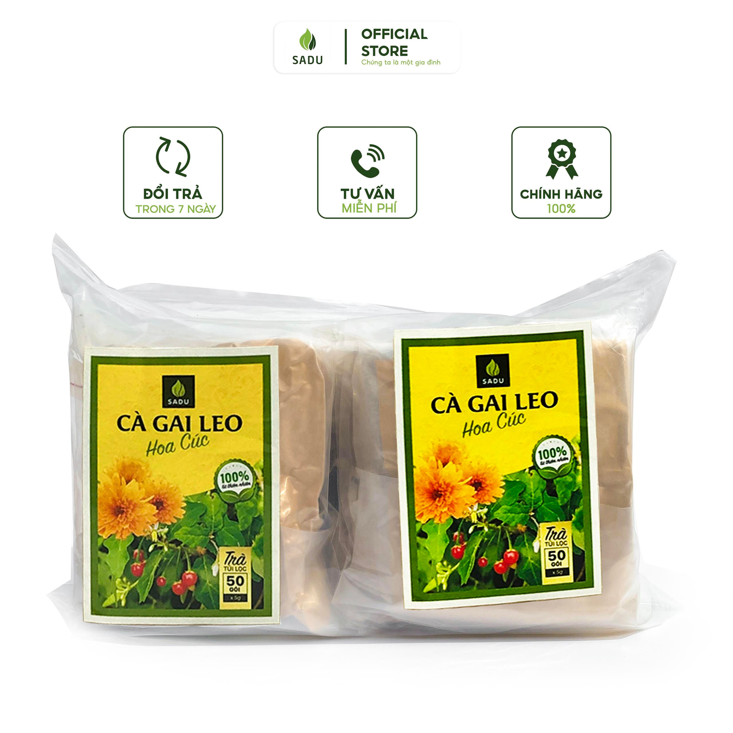 Tea bag filter Cactus vines chrysanthemum