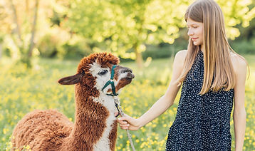 Alpaka Kindergeburtstag_edited.jpg