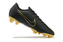 Miniatura: Nike CR7 FG