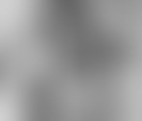 GOHSBSU Presents A Martin Luther King Instagram Live Special! 