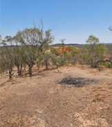 Quilpie1.jpeg