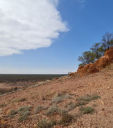 Quilpie12.jpeg