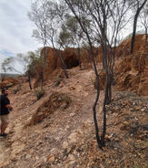 Quilpie3.jpeg