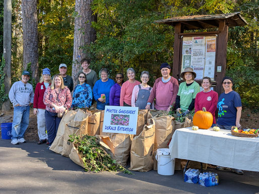 Invasive Plant Removal Keeps Tucker Parks Healthy