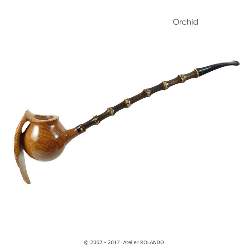 Thumbnail: ORCHID