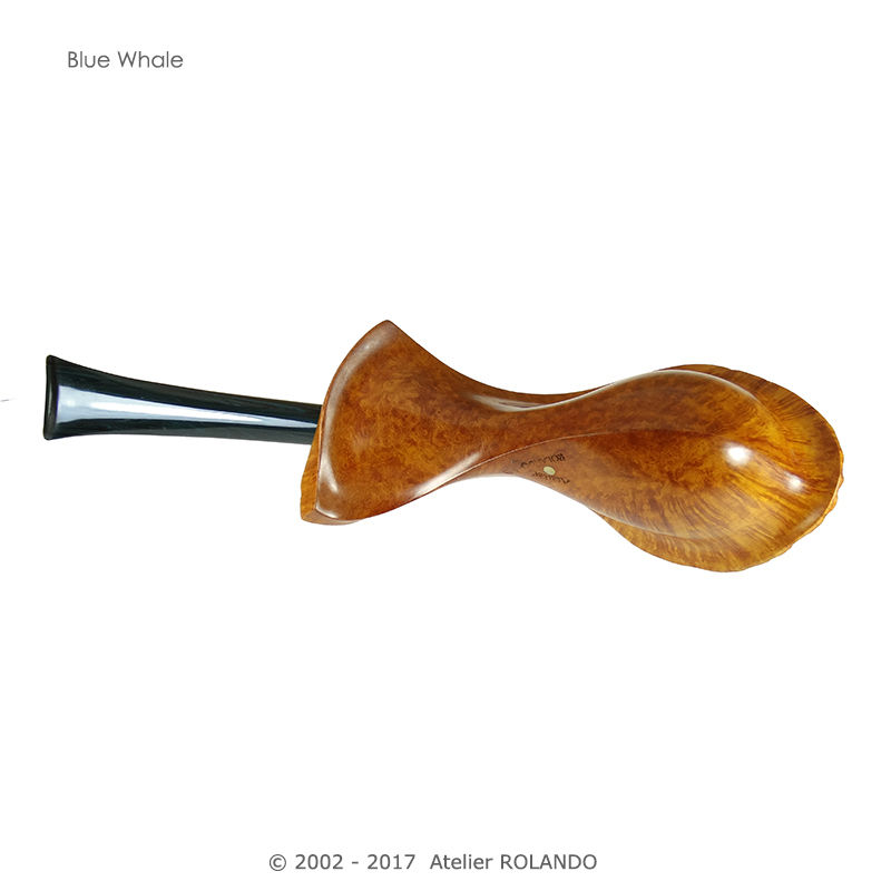 Thumbnail: Blue Whale