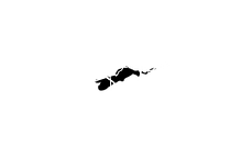 Untitled_Artwork 157.png