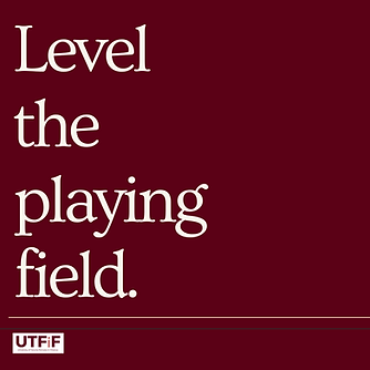 Level the playing field. (1).png