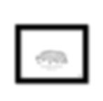 Thumbnail: Bramlage Coliseum Minimalist Artwork