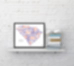 Thumbnail: Clemson University State Art Print