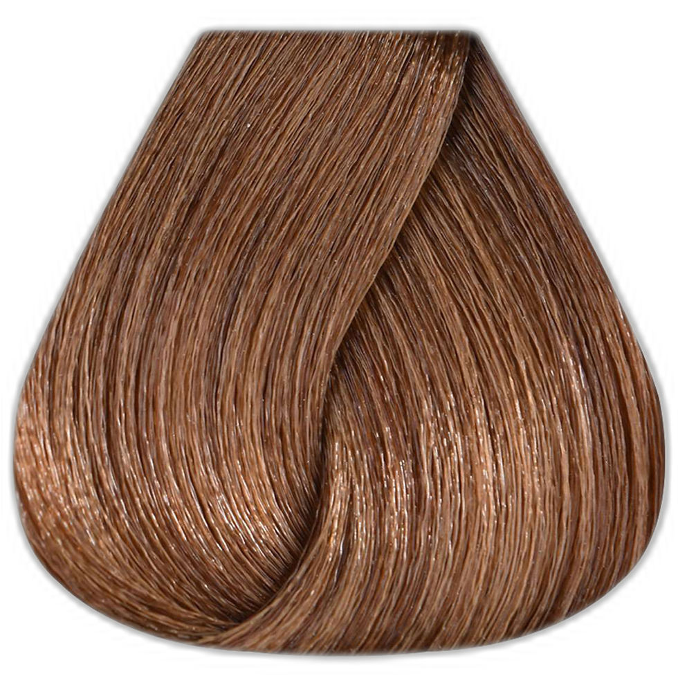 Miniatura: Tonos Marrones