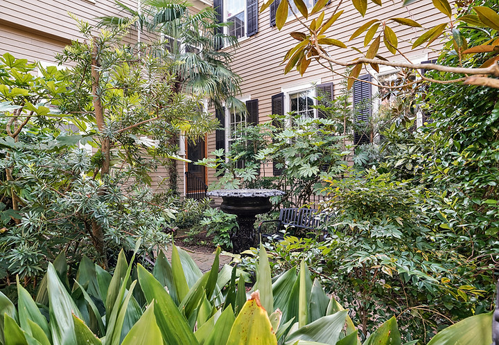 205 S 5th Ave, Unit 6, Wilmington NC by Fran Downey, Fathom Realty