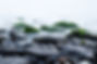 pexels-photo-1437953.jpeg