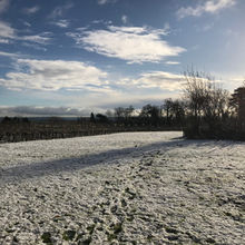 Beast from the East