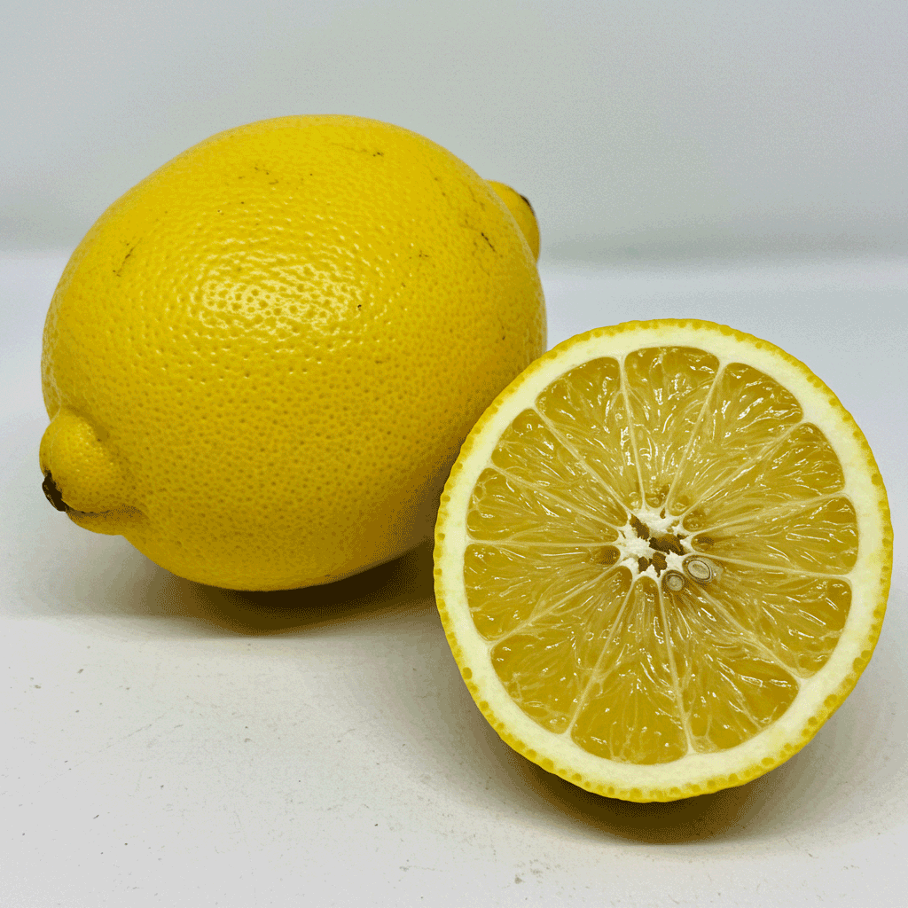 whisk_storyboardd65ebc6f47634b0fbd3c22032c6d39.gif