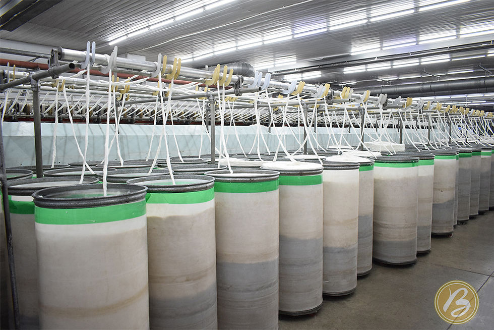 Dragging process in the cotton spinning industry