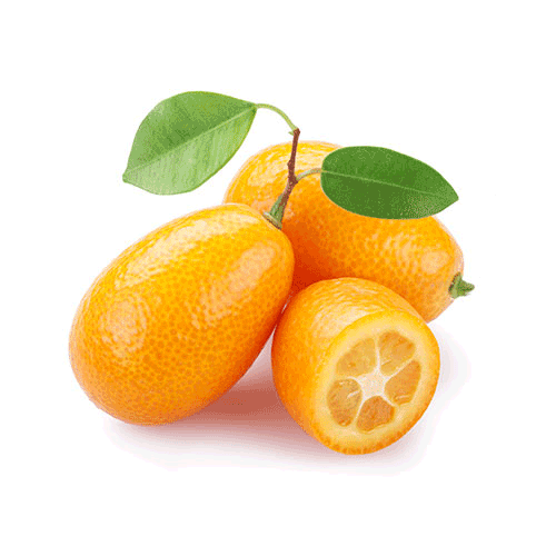 KUMQUAT-BABY-ORANGE-KG.gif
