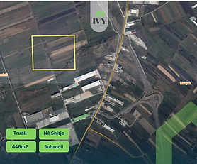 Truall 4.46 Ari në shitje në Suhadoll.