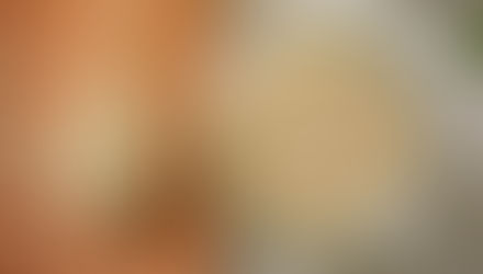 ¡Descubre los increíbles beneficios de la Quínoa!