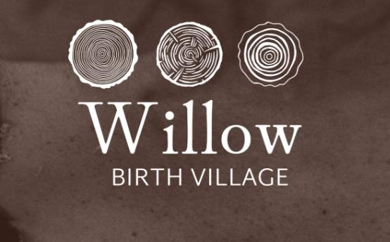 willow logo