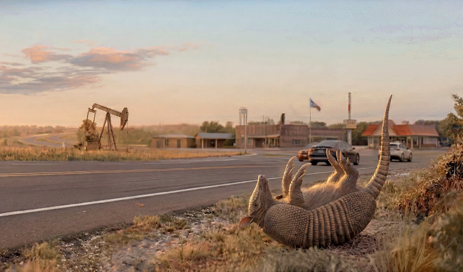 Armadillo001.gif