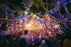 317dd9d9-dc2e-4faa-b40d-1f8604e7aa89 2