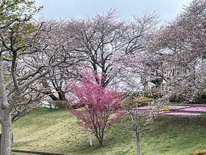 祈りの恵みの現れ31-2