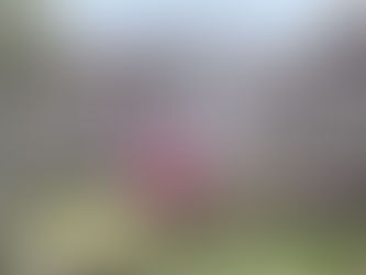 祈りの恵みの現れ31-2