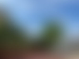 いやしを求めて